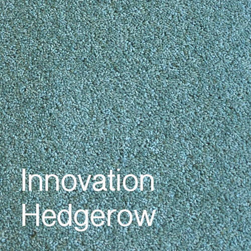 Innovation Hedgerow Innovation Hedgerow