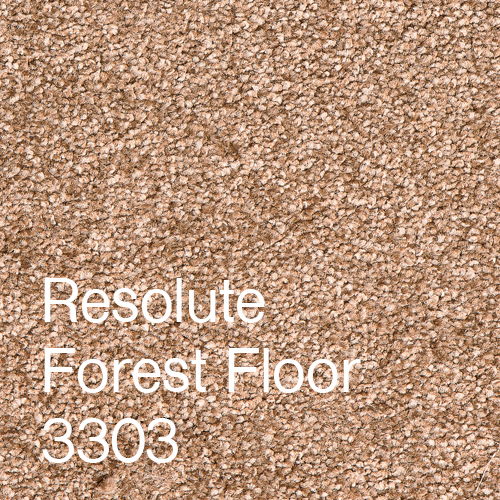 Resolute Forest Floor