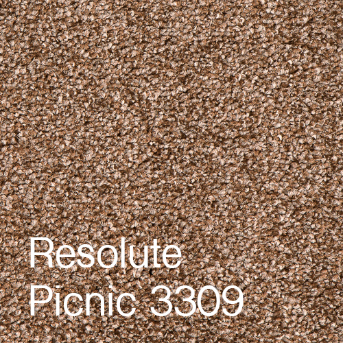 Resolute Picnic Resolute Picnic